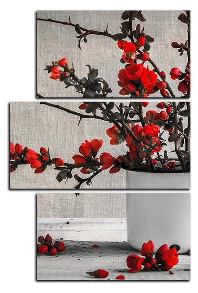 Obraz na plátne - Zátišie kytice - obdĺžnik 7996FC (90x60 cm)