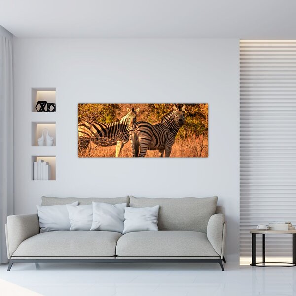 Obraz zebier (120x50 cm)