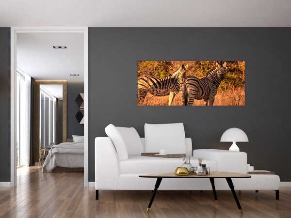 Obraz zebier (120x50 cm)