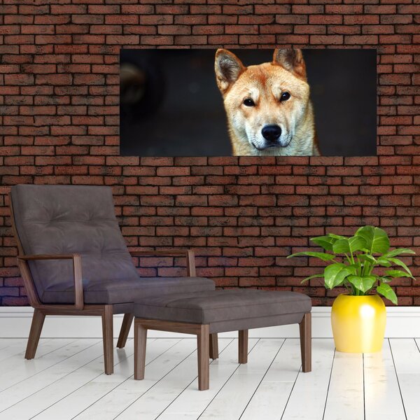 Obraz psa (120x50 cm)
