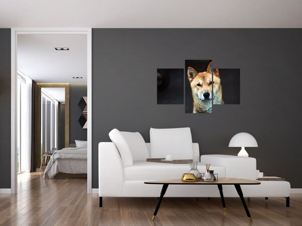 Obraz psa (90x60 cm)