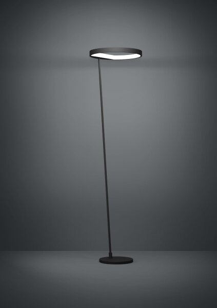 Eglo 390167 - LED Stmievateľná stojacia lampa CAREDARA LED/23W/230V 3000K