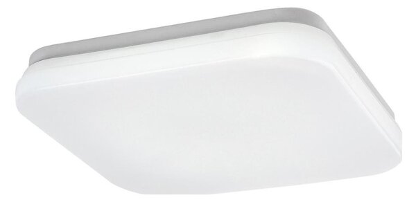 Rabalux 77134-LED Kúpeľňové stropné svietidlo LOWAR LED/12W/230V IP44 3000/4000/6000K