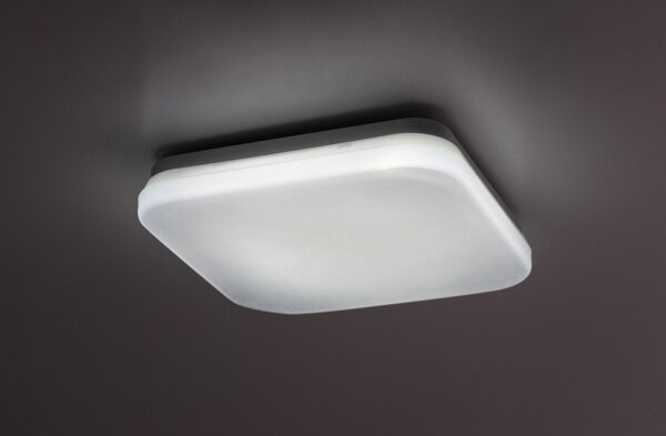 Rabalux 77134-LED Kúpeľňové stropné svietidlo LOWAR LED/12W/230V IP44 3000/4000/6000K