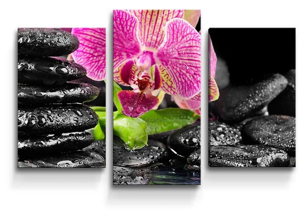 Sablio Obraz - 3-dílný Orchidea na kameňoch - 75x50 cm