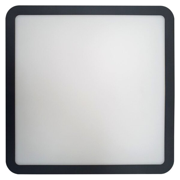 LED Kúp. stropné svietidlo ELLÉ LED/24W/230V 3000/4000/6500K 26x26 cm IP54 antr