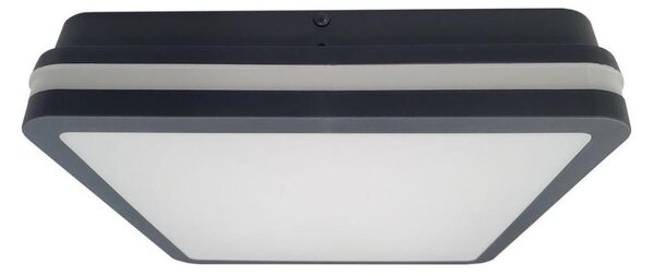 LED Kúp. stropné svietidlo ELLÉ LED/24W/230V 3000/4000/6500K 26x26 cm IP54 antr