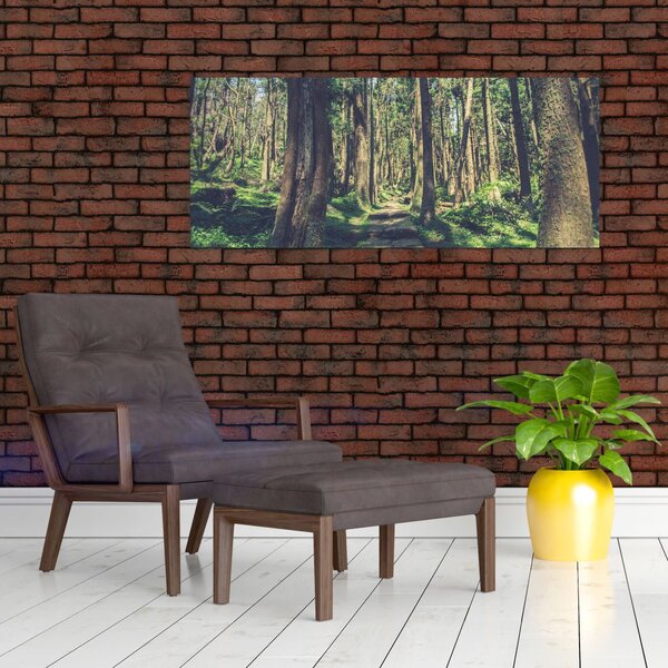 Obraz cesty medzi stromami (120x50 cm)