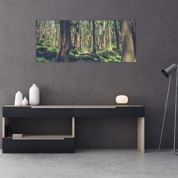 Obraz cesty medzi stromami (120x50 cm)