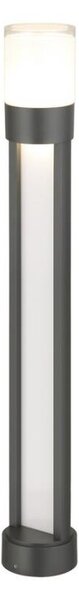 Rabalux 77132 - LED Vonkajšia lampa LEITHA LED/12W/230V IP44 80 cm