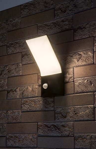 Rabalux 77172-LED Vonkajšie nástenné svietidlo so senzorom TOLNA LED/10W/230V IP54