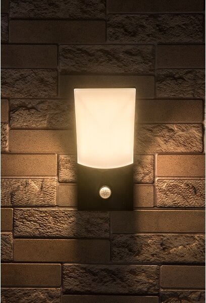 Rabalux 77172-LED Vonkajšie nástenné svietidlo so senzorom TOLNA LED/10W/230V IP54
