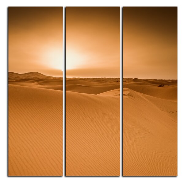 Obraz na plátne - Púšť Sahara - štvorec 3131B (75x75 cm)