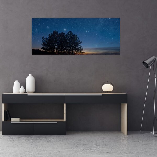 Obraz stromov v noci (120x50 cm)