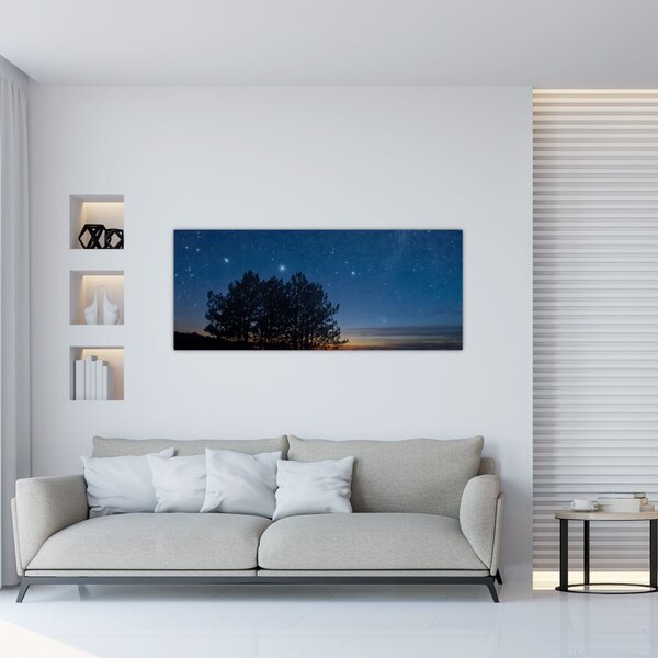 Obraz stromov v noci (120x50 cm)