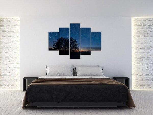 Obraz stromov v noci (150x105 cm)