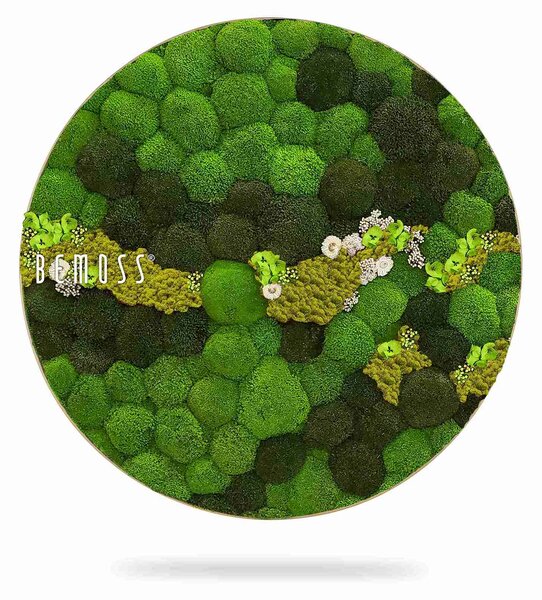 Machový obraz kruh BOLMOSS COSMO Lime - Priemer 40 cm