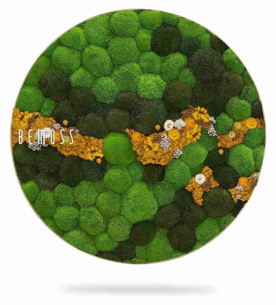 Machový obraz kruh BOLMOSS COSMO Yellow - Priemer 40 cm