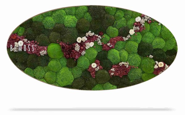 Machový obraz Elipsa BOLMOSS COSMO Burgundy - 50 x 100 cm