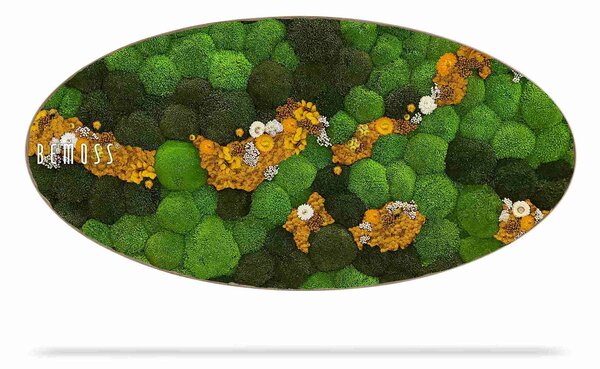 Machový obraz Elipsa BOLMOSS COSMO Yellow - 50 x 100 cm