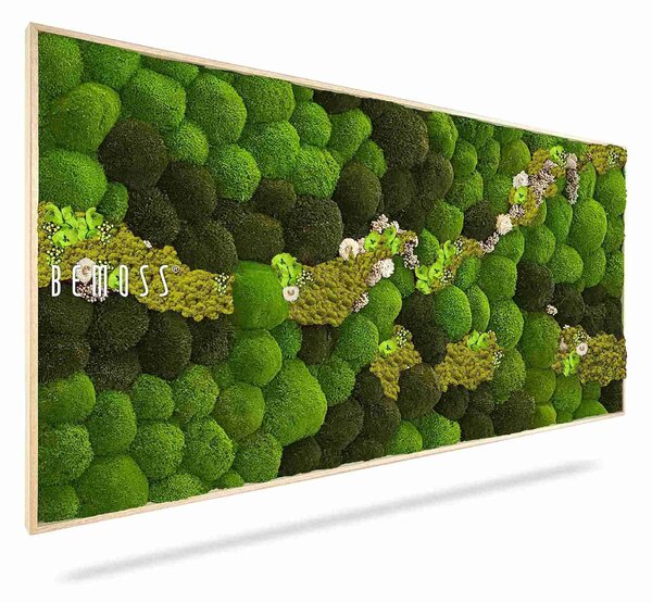 Machový obraz BOLMOSS COSMO Lime - 40 x 40 cm