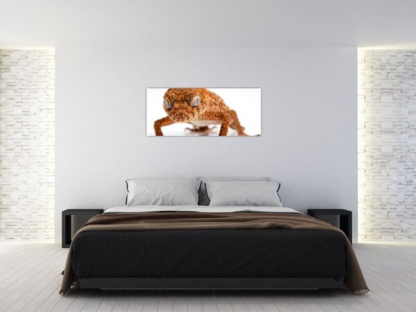 Obraz jašterice (120x50 cm)