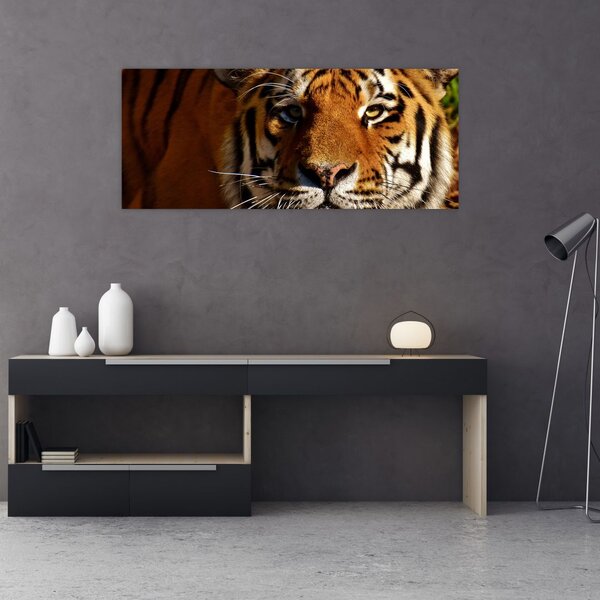 Obraz tigra (120x50 cm)