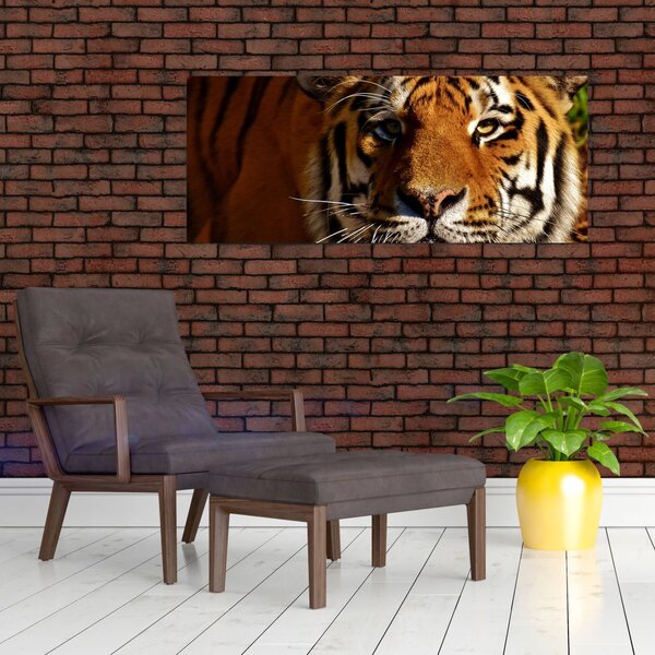 Obraz tigra (120x50 cm)