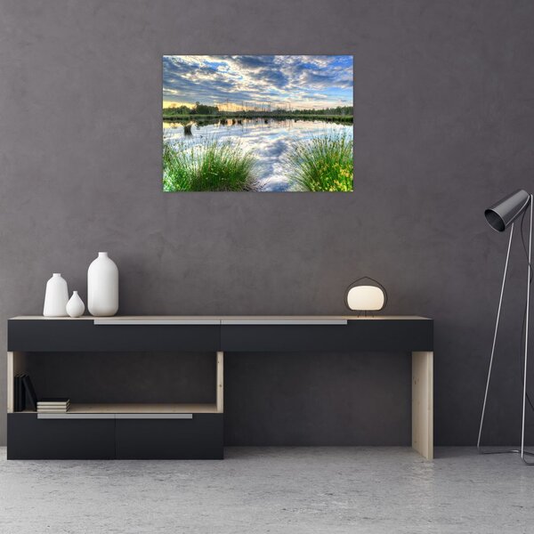 Obraz jazera s tŕstím (70x50 cm)