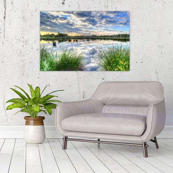 Obraz jazera s tŕstím (90x60 cm)