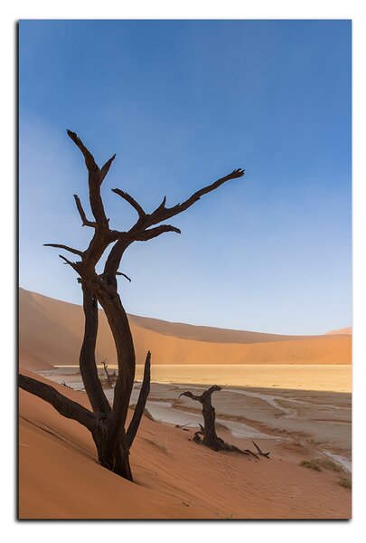 Obraz na plátne - Mŕtvy strom v dunach - obdĺžnik 7130A (60x40 cm)