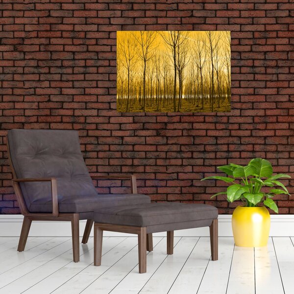 Obraz - Plantáž stromov (70x50 cm)