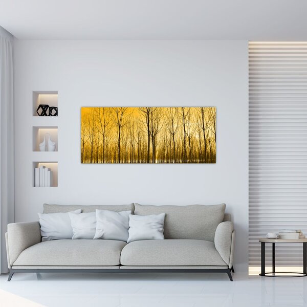 Obraz - Plantáž stromov (120x50 cm)