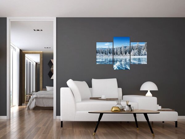 Obraz zamrznutého jazera a zasnežených stromov (90x60 cm)