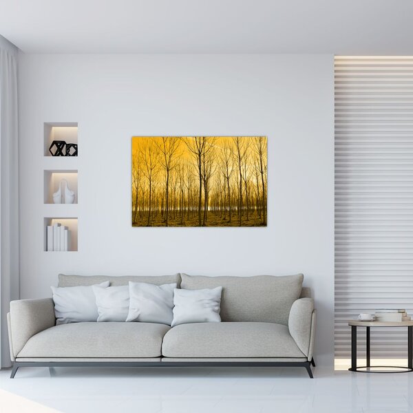 Obraz - Plantáž stromov (90x60 cm)