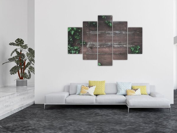 Obraz - Brečtan (150x105 cm)