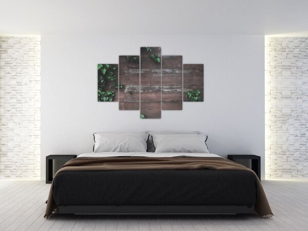 Obraz - Brečtan (150x105 cm)
