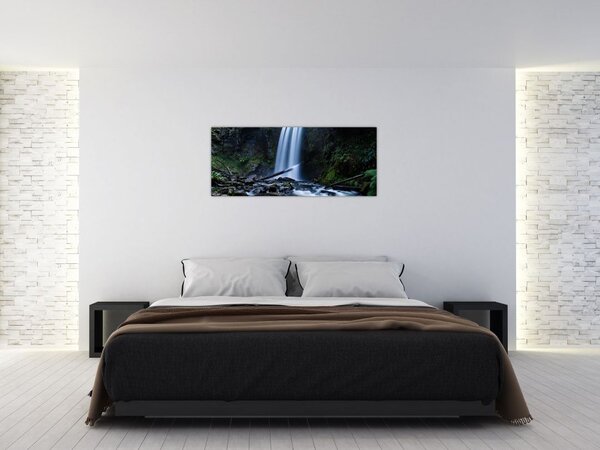 Obraz - Vodopád (120x50 cm)