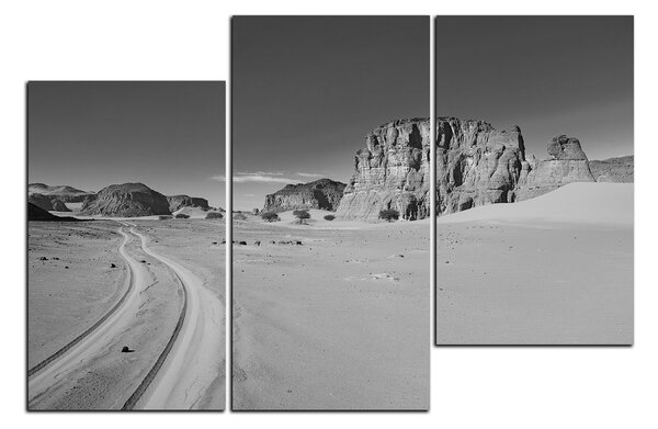 Obraz na plátne - Cesta v púšti 1129QD (90x60 cm)