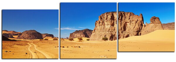 Obraz na plátne - Cesta v púšti - panoráma 5129E (90x30 cm)