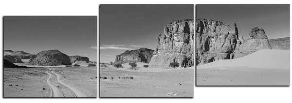 Obraz na plátne - Cesta v púšti - panoráma 5129QE (90x30 cm)