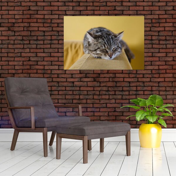 Obraz mačky na pohovke (90x60 cm)