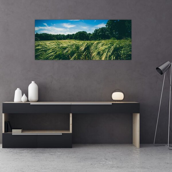 Obraz lúky a lesa (120x50 cm)