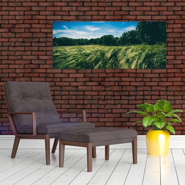 Obraz lúky a lesa (120x50 cm)