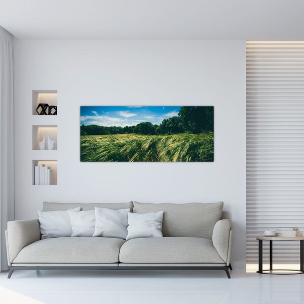 Obraz lúky a lesa (120x50 cm)