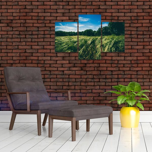 Obraz lúky a lesa (90x60 cm)