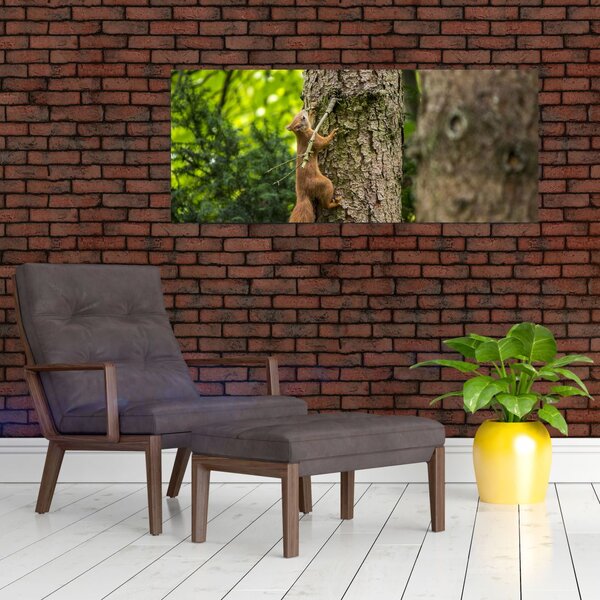 Obraz - Veverička (120x50 cm)