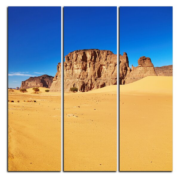 Obraz na plátne - Cesta v púšti - štvorec 3129B (75x75 cm)