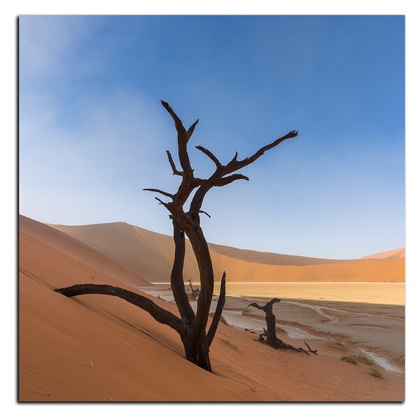 Obraz na plátne - Mŕtvy strom v dunach - štvorec 3130A (50x50 cm)