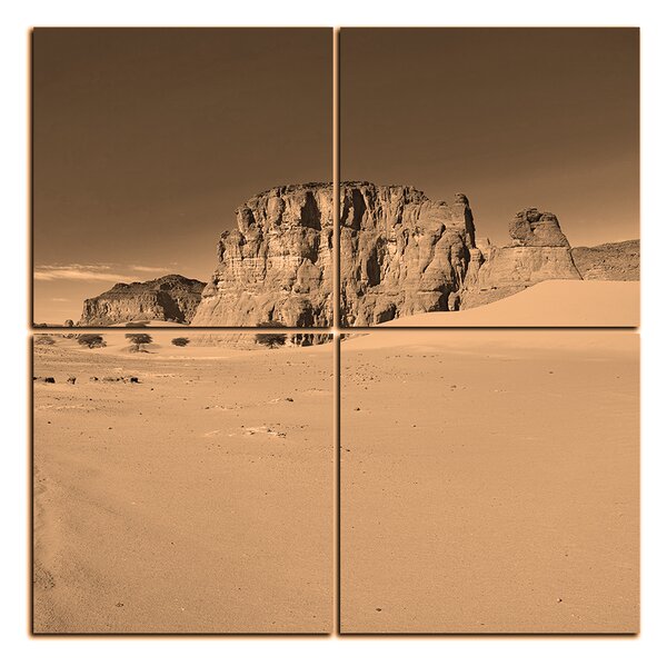 Obraz na plátne - Cesta v púšti - štvorec 3129FE (60x60 cm)